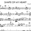 Sting - Shape of my heart (music sheet)